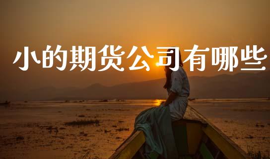 小的期货公司有哪些_https://www.apanben.com_期货学院_第1张