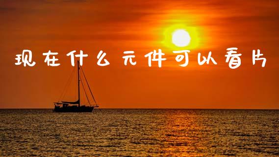 现在什么元件可以看片_https://www.apanben.com_国际财经_第1张