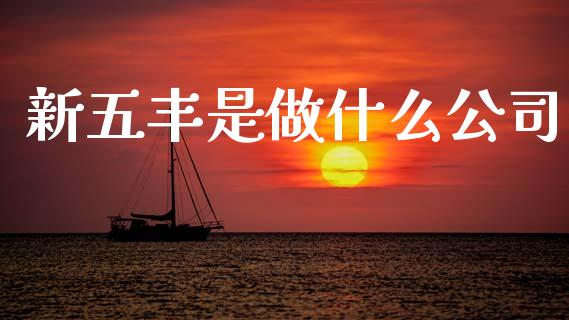 新五丰是做什么公司_https://www.apanben.com_股市指导_第1张