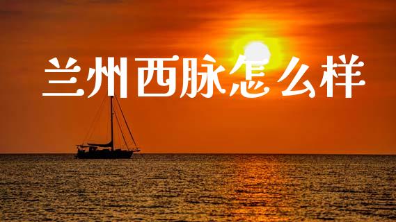 兰州西脉怎么样_https://www.apanben.com_股票怎么玩_第1张