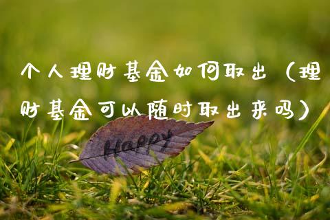 个人理财基金如何取出（理财基金可以随时取出来吗）_https://www.apanben.com_财经资讯_第1张