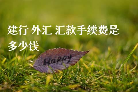 建行 外汇 汇款手续费是多少钱_https://www.apanben.com_股票怎么玩_第1张