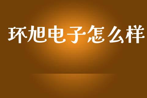 环旭电子怎么样_https://www.apanben.com_国际财经_第1张