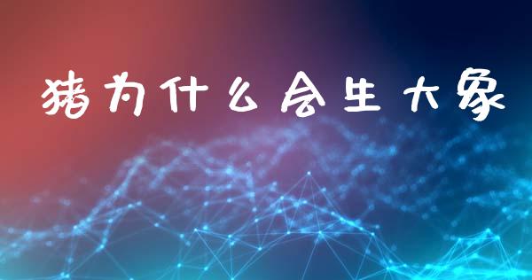 猪为什么会生大象_https://www.apanben.com_在线喊单_第1张