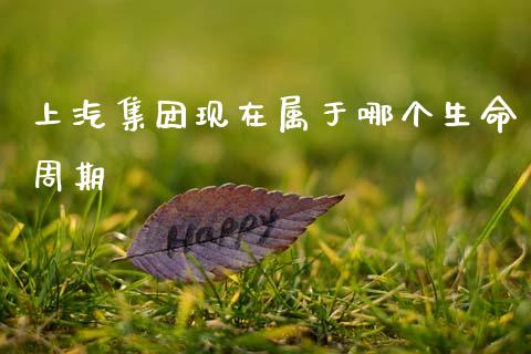 上汽集团现在属于哪个生命周期_https://www.apanben.com_股市分析_第1张