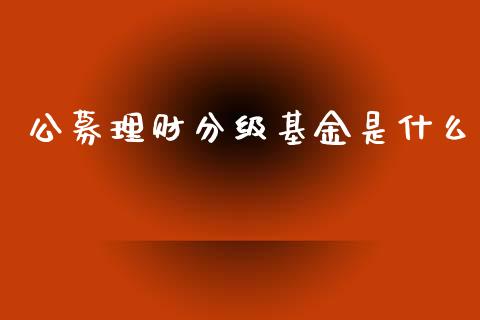 公募理财分级基金是什么_https://www.apanben.com_国际财经_第1张