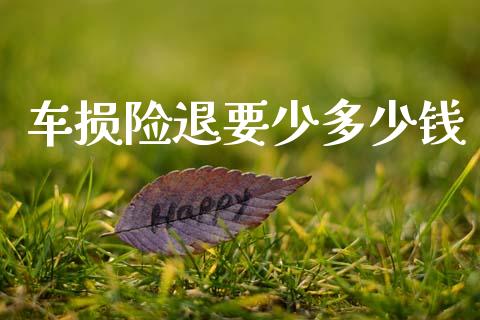 车损险退要少多少钱_https://www.apanben.com_在线喊单_第1张