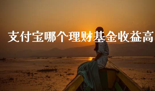 支付宝哪个理财基金收益高_https://www.apanben.com_财经资讯_第1张
