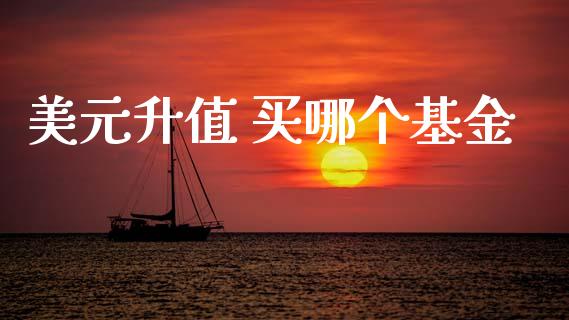 美元升值 买哪个基金_https://www.apanben.com_在线喊单_第1张