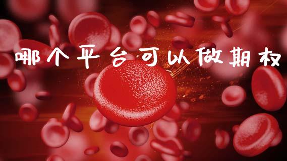 哪个平台可以做期权_https://www.apanben.com_国际期货_第1张