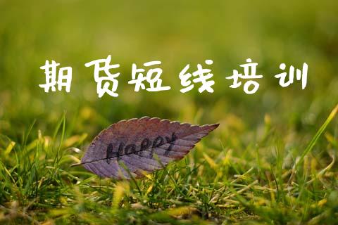 期货短线培训_股票怎么玩_第1张_安贝财经网 期货短线培训_https://www.apanben.com_股票怎么玩_第1张