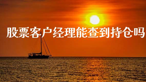股票客户经理能查到持仓吗_https://www.apanben.com_股市分析_第1张