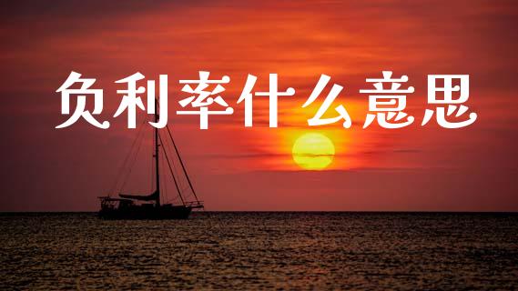 负利率什么意思_https://www.apanben.com_股票怎么玩_第1张