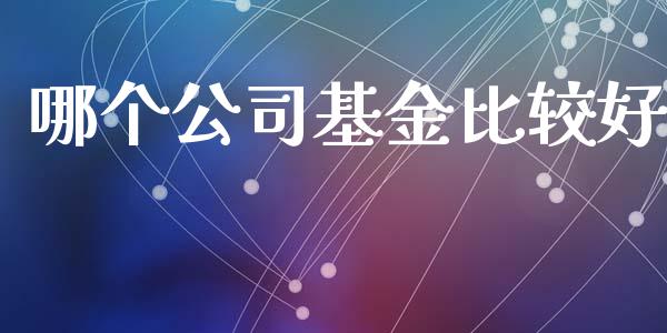 哪个公司基金比较好_https://www.apanben.com_国际期货_第1张