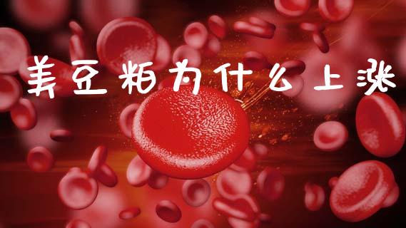 美豆粕为什么上涨_https://www.apanben.com_股票怎么玩_第1张