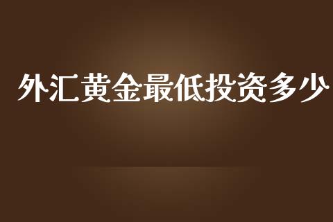 外汇黄金最低投资多少_https://www.apanben.com_股市指导_第1张