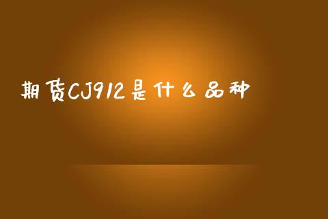 期货CJ912是什么品种_https://www.apanben.com_股市分析_第1张