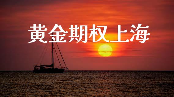 黄金期权上海_https://www.apanben.com_在线喊单_第1张