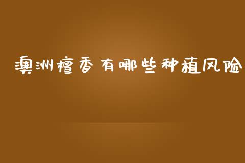 澳洲檀香有哪些种植风险_https://www.apanben.com_国际期货_第1张
