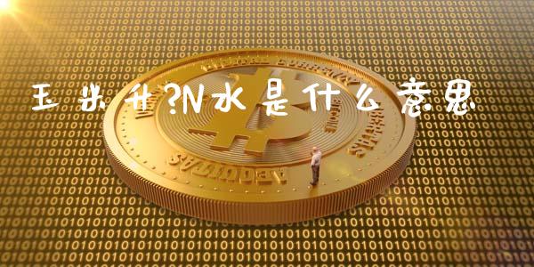 玉米升?N水是什么意思_https://www.apanben.com_在线喊单_第1张
