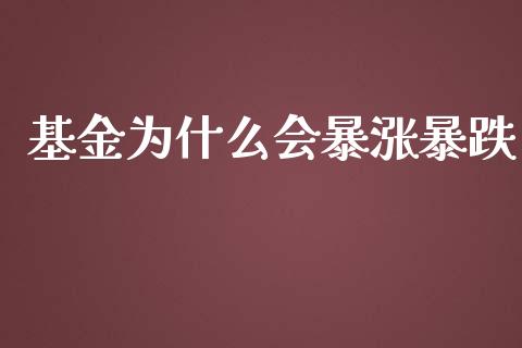 基金为什么会暴涨暴跌_https://www.apanben.com_期货学院_第1张