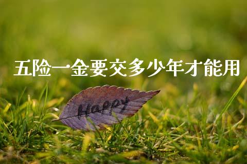 五险一金要交多少年才能用_https://www.apanben.com_期货学院_第1张