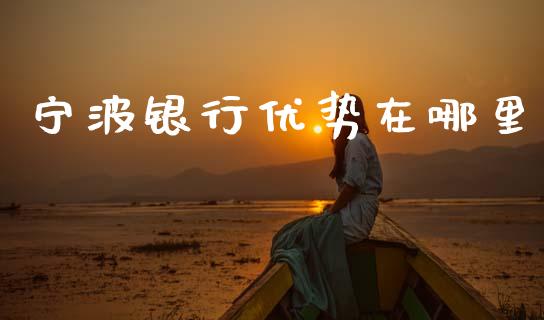宁波银行优势在哪里_https://www.apanben.com_股市指导_第1张