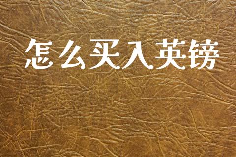 怎么买入英镑_https://www.apanben.com_股票怎么玩_第1张