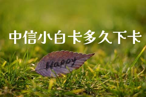中信小白卡多久下卡_https://www.apanben.com_在线喊单_第1张