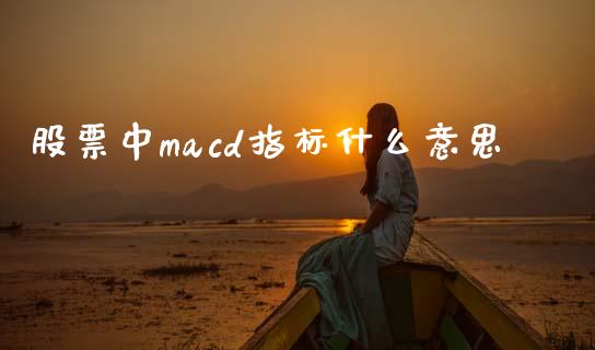 股票中macd指标什么意思_https://www.apanben.com_在线喊单_第1张
