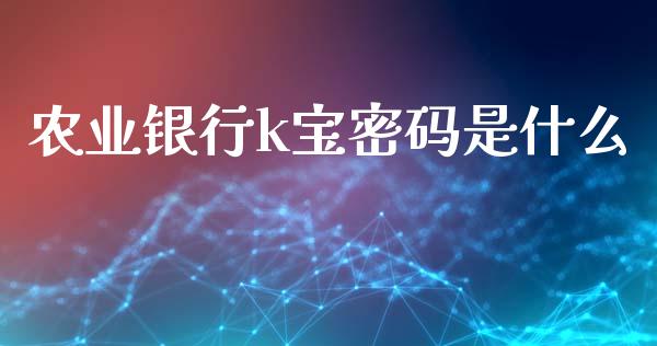 农业银行k宝密码是什么_https://www.apanben.com_期货学院_第1张