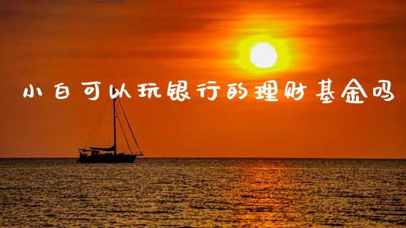 小白可以玩银行的理财基金吗_https://www.apanben.com_国际财经_第1张