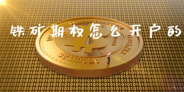 铁矿期权怎么开户的_https://www.apanben.com_股市指导_第1张