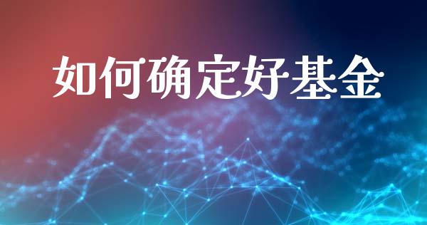 如何确定好基金_https://www.apanben.com_期货学院_第1张