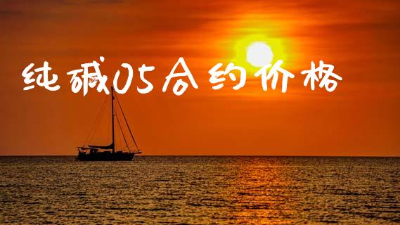 纯碱05合约价格_https://www.apanben.com_财经资讯_第1张