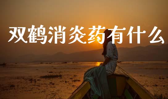 双鹤消炎药有什么_https://www.apanben.com_股市分析_第1张