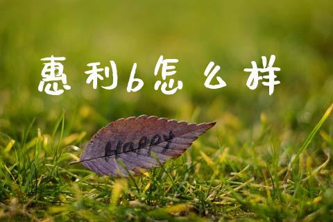 惠利b怎么样_https://www.apanben.com_在线喊单_第1张