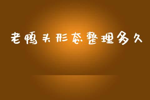 老鸭头形态整理多久_https://www.apanben.com_在线喊单_第1张