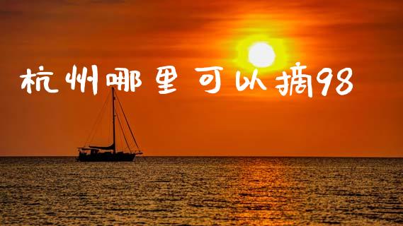 杭州哪里可以摘98_https://www.apanben.com_股票怎么玩_第1张