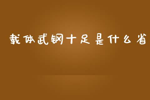 载体武钢十足是什么省_https://www.apanben.com_在线喊单_第1张