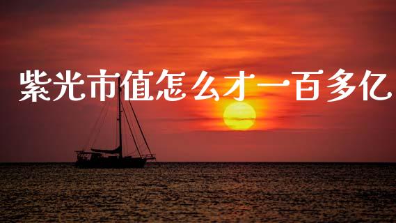紫光市值怎么才一百多亿_https://www.apanben.com_期货学院_第1张