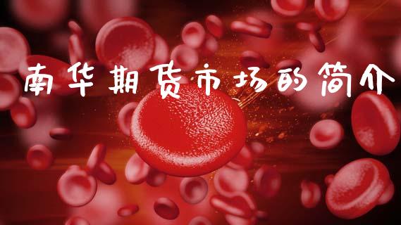 南华期货市场的简介_https://www.apanben.com_股市分析_第1张