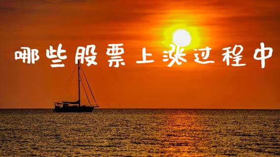 哪些股票上涨过程中_https://www.apanben.com_国际财经_第1张