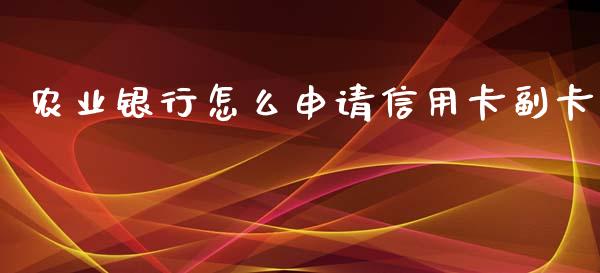 农业银行怎么申请信用卡副卡_https://www.apanben.com_期货学院_第1张