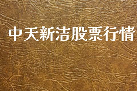 中天新洁股票行情_https://www.apanben.com_股票怎么玩_第1张
