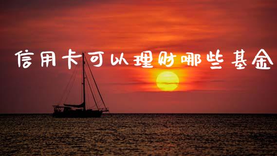 信用卡可以理财哪些基金_https://www.apanben.com_财经资讯_第1张