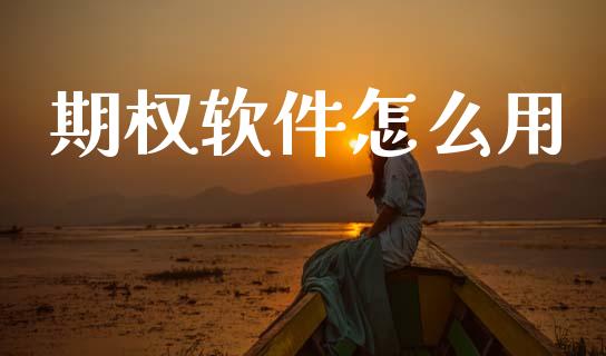 期权软件怎么用_https://www.apanben.com_国际期货_第1张