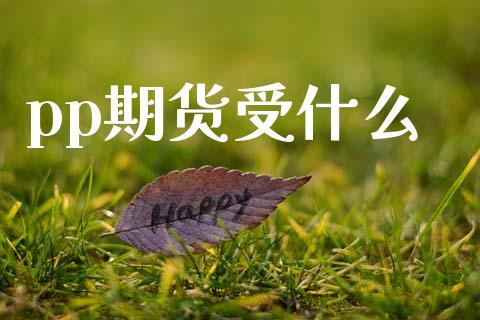 pp期货受什么_https://www.apanben.com_股市指导_第1张