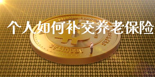 个人如何补交养老保险_https://www.apanben.com_期货学院_第1张