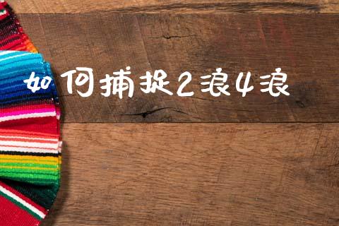 如何捕捉2浪4浪_https://www.apanben.com_期货学院_第1张